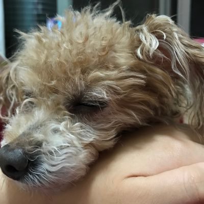 12uiKMcawpV3BFu's profile picture. 高卒済 20歳