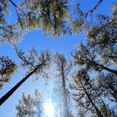 izackrj's profile picture. 