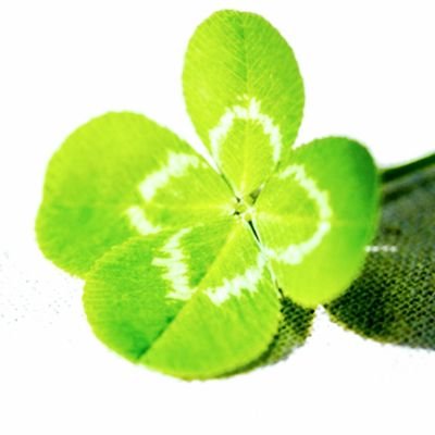 🍀ピコリス⁂さんのプロフィール画像
