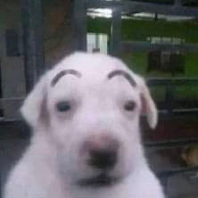 elciro_'s profile picture. ciro :D