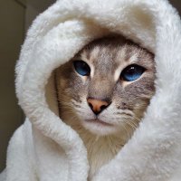 Pedro (@oderp2023) 's Twitter Profile