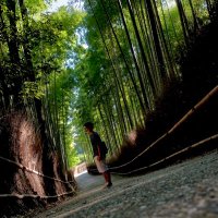 そーすけ (@soy_soy_beans60) 's Twitter Profile