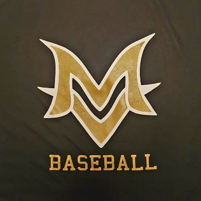 Baseball_MVHS Profile Picture