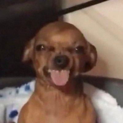 20 ☆ supernatural brainrot i fear ☆ spn, mcu, marvel rivals, stranger things, merlin, fnaf, thunderbolts ☆ multishipper, mainly destiel ☆ eng, fr ☆ 🇺🇲🇫🇷