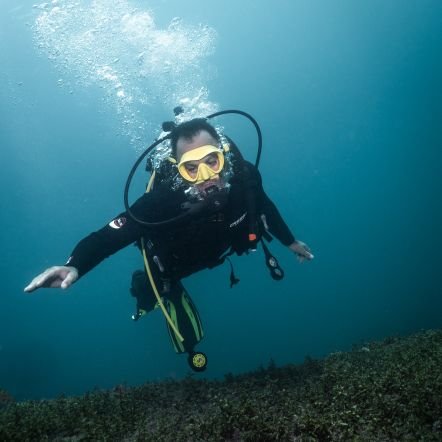 Professor at @Unesp_Oficial | Marine molecular ecologist | Assist. Editor JFB