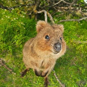 ほめ♡レンさんの「そう思うからそうなる」を元に引き寄せ実践中🐈🐾

大好きな彼と結婚して🇦🇺へ！
幸せな家庭を築いちゃったd(˙꒳​˙* )を実践中！