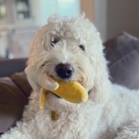 Cupcake, RN 🍉🌻🥥🌴 (@cupcakejones8) 's Twitter Profile Photo Cupcake, RN 🍉🌻🥥🌴 (@cupcakejones8) 's Twitter Profile Photo