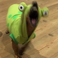 Eric (0/4) IM BACK!! (@ericmarin_) 's Twitter Profile