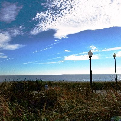 tcube302's profile picture. 