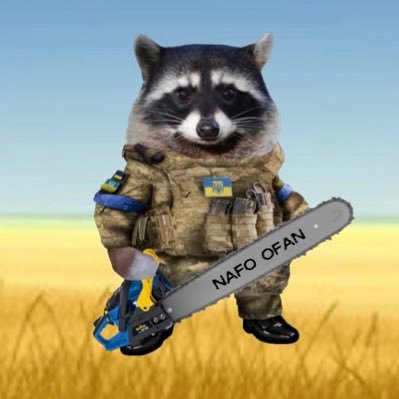 Слава Україні! Boldly going where no raccoon has gone before. #NAFO