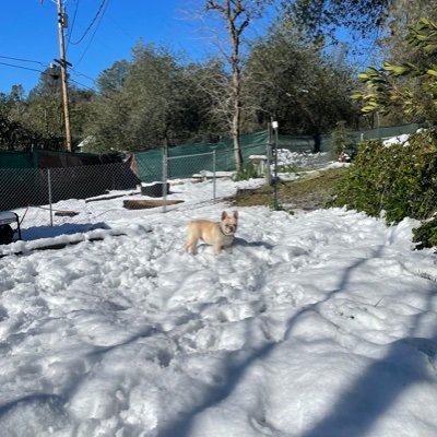 dwilliams1144's profile picture. 