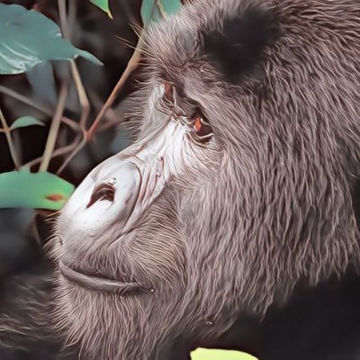 〇〇マレーシア〇〇 フードビジネス 名簿〇〇 ゴリ飯 KL🇲🇾 (@myanmar9dayz) / X