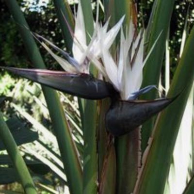 dimidimi2's profile picture. 