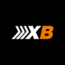 Xpressbees India Profile