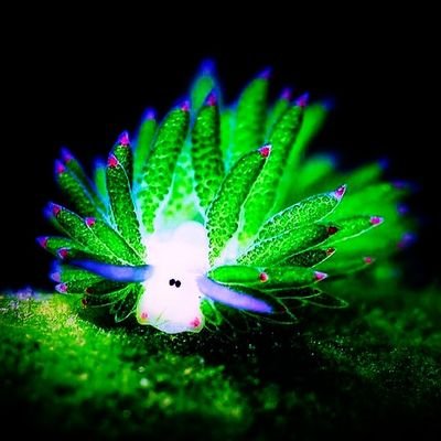 sona546636's profile picture. 