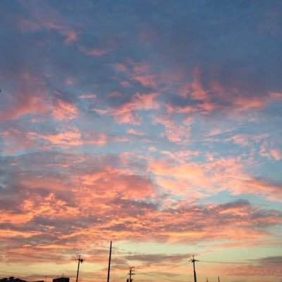 mjdtdgmpmtmp's profile picture. 05 東海大学 工学部