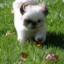 Tracy Wild - @Tracybwild - Twitter