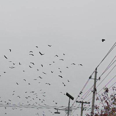 wzxxzw1's profile picture. I think I need to learn more.