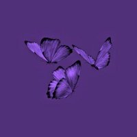 لأجلك معلمتي عبير 💜 (@htt44961279) 's Twitter Profile
