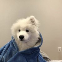 chille, the first fruit 🍏 ✨ (@venisvintedge) 's Twitter Profile Photo chille, the first fruit 🍏 ✨ (@venisvintedge) 's Twitter Profile Photo