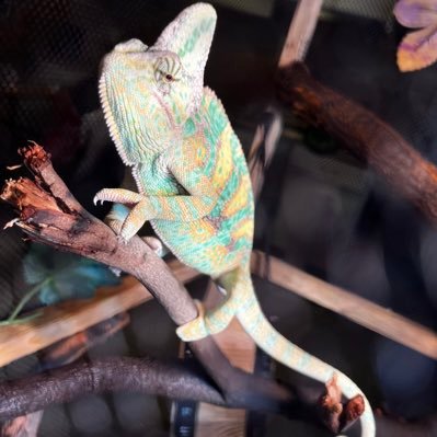 sn350's profile picture. 