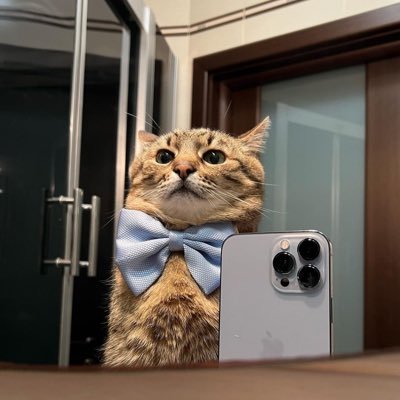 vialar16's profile picture. 