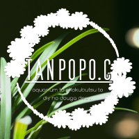 AQUARIUM Tanpopo.C (@tanpopo_tw) 's Twitter Profile Photo AQUARIUM Tanpopo.C (@tanpopo_tw) 's Twitter Profile Photo