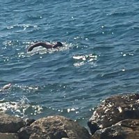 MAN (@karadeniz9961) 's Twitter Profile