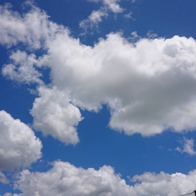 miki25_15's profile picture. 社会人。 #アヘコラ　#アヘ顔　#オナペ採点   #チン添え　#顔抜き　#ぶっかけ　#ぶっかけ依頼