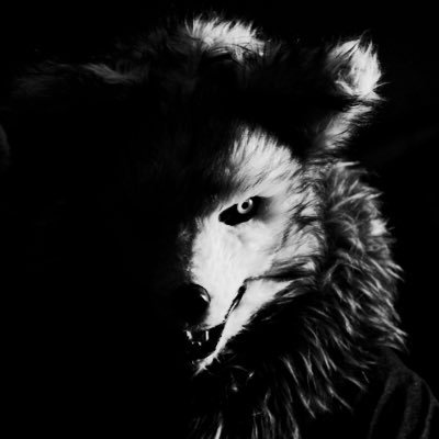🐺カンテラ灯すさんのプロフィール画像