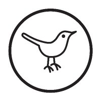 Hello Birdie Golf (@hellobirdiegolf) 's Twitter Profile