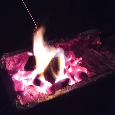 khan_w2020's profile picture. 