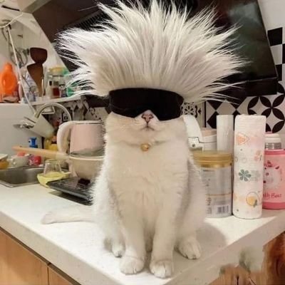 being_neutralll's profile picture. living in genderless friend's era🫴✨