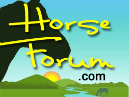 An online community for equestrian enthusiasts.