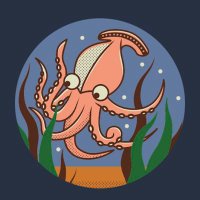 烏賊@S国 (@ika_stepn) 's Twitter Profile