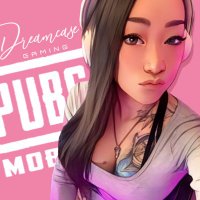 Dreamcase(@dreamcasegaming) 's Twitter Profile Photo