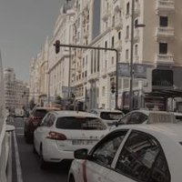 TheShark03 (@theshark016) 's Twitter Profile