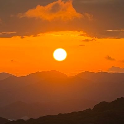 nanakemon36's profile picture. アラフォー。