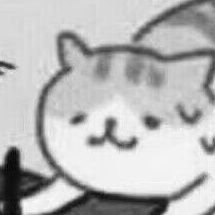 liyue197's profile picture. 阴暗的四处飘荡