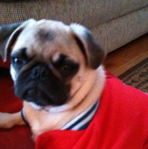 rjharding123's profile picture. Developer and Builder - Luxury Patio Home living at it's Best! The Fairways at Buffalo Run