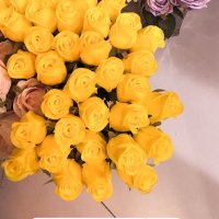 عيوش (@aiosh29) 's Twitter Profile