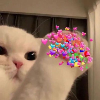 82amisnak's profile picture. ᴍʏ ʟᴜᴠ : @Ewaraha @itscharlotty ♡´・ᴗ・`♡