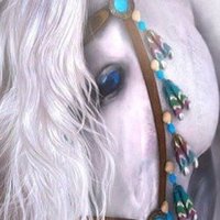 عالمي 4 (@lmy13309469) 's Twitter Profile