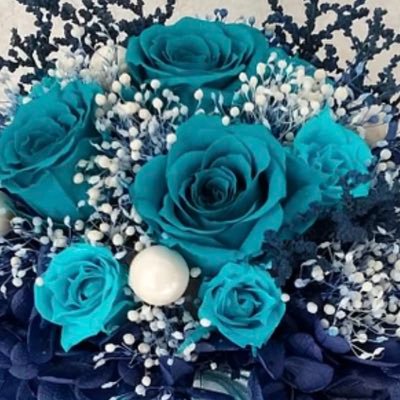 P8CRAV481nTfmJh's profile picture. 神宮寺くんℓσνє🩵💙紫耀くん岸くん❤️💜 TOBEファミリー応援🙌 SNS🔰無言フォロー＆RT失礼いたします🙇‍♀️