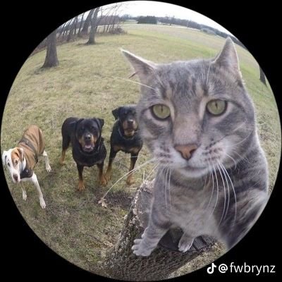 MRguikk's profile picture. 