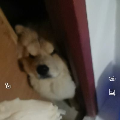 nestpangilinan's profile picture. 