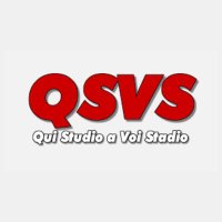 QSVS(@QSVS_Official) 's Twitter Profileg