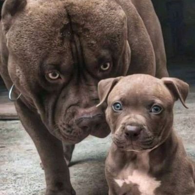 you16547797's profile picture. 