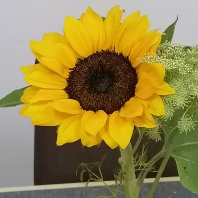 YayoGlezo's profile picture. Simplemente yo!!!