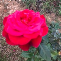 Maitre yseult (@maitreyseult) 's Twitter Profile Photo